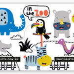 In the Zoo