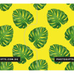 Monstera