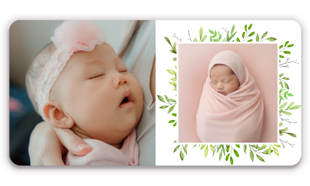 Lush Beginnings Layflat Book