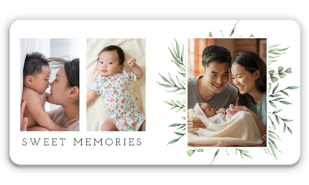 Lush Beginnings Layflat Book