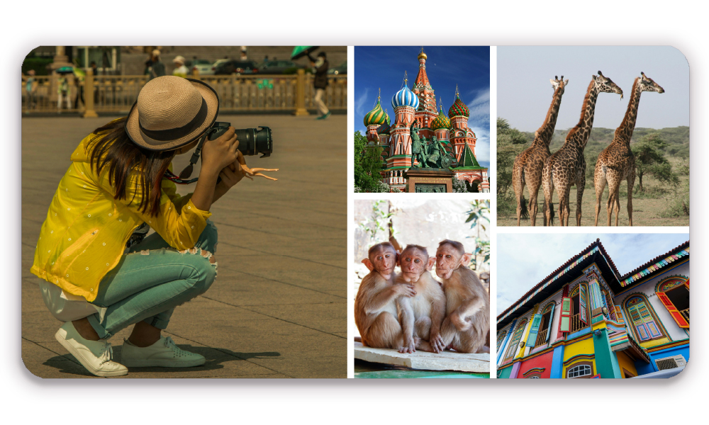 Ultimate Travel Layflat Book