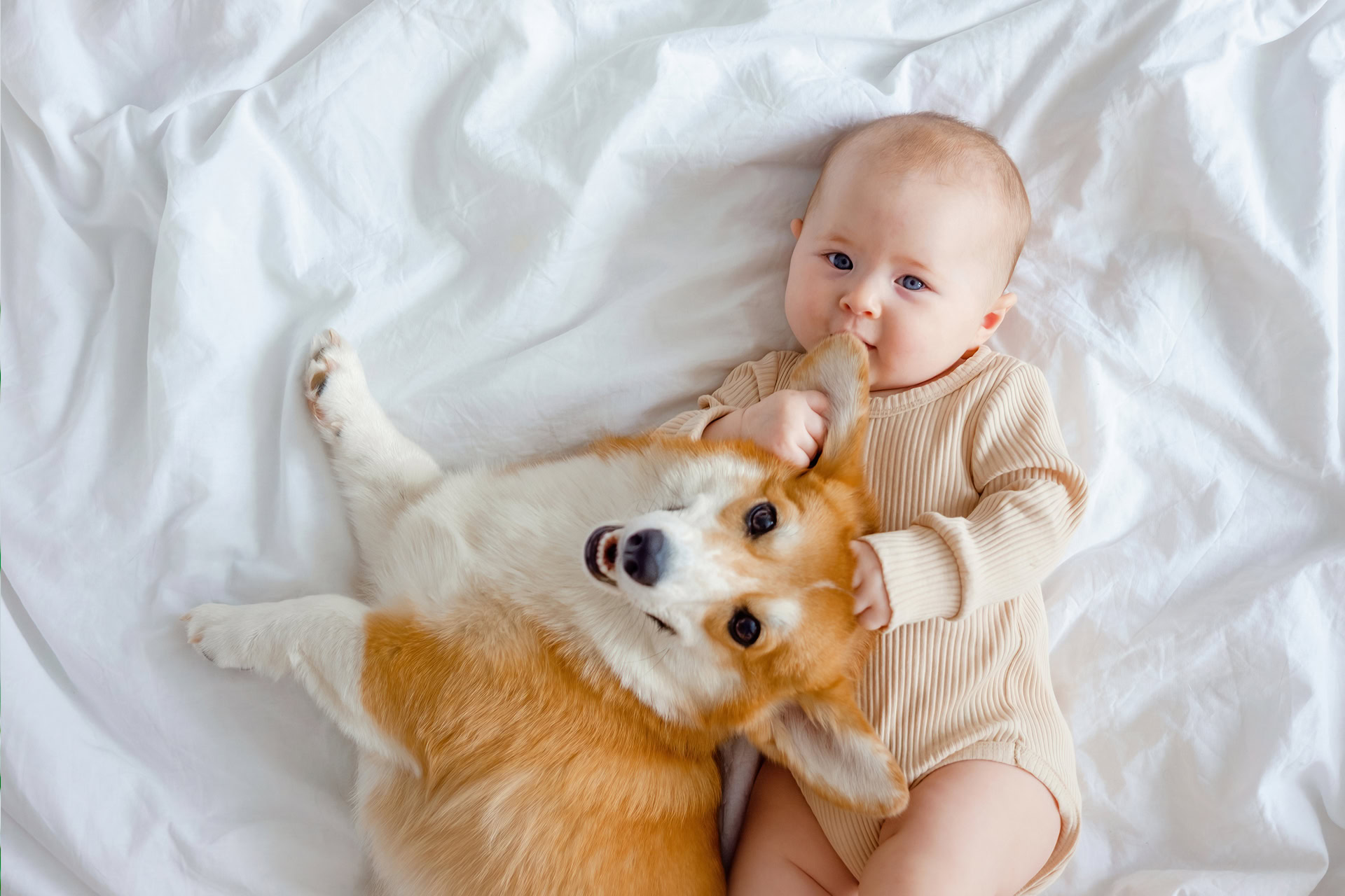 baby board book ideas - bonding with family pet